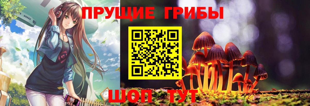 купить   Вход с VPN  Одинцово  Галлюциногенные грибы Cubensis 